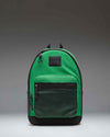 Varsity Pine