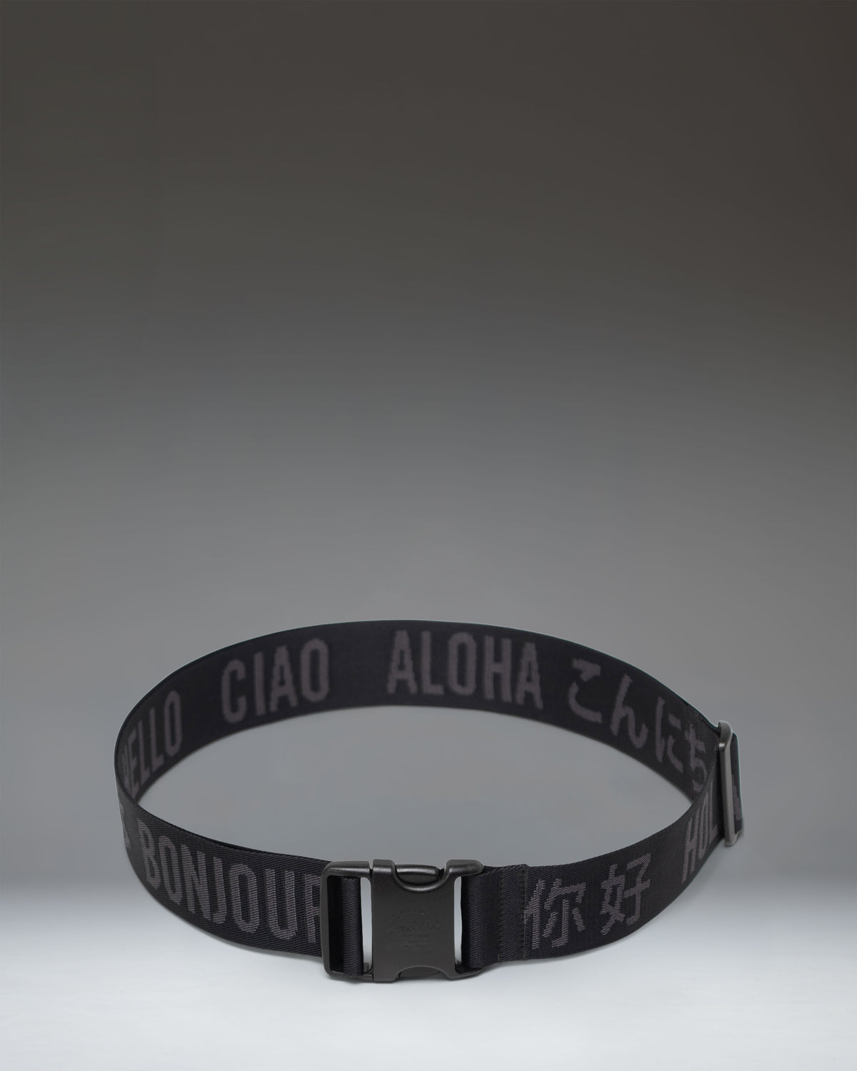 Luggage Belt