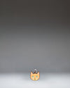 Orange Cat